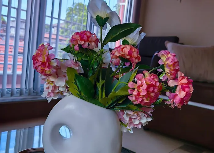 Appartement The View